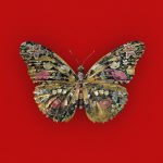 Rachael Doble & Simon Critchley, Papilio Botanicus in Carmine, 2020, Giclee Hahnemuhle Photo Rag, 78 x 78cm, edition of 5